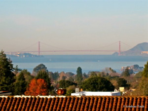 Golden-Gate-Bridge-Voyage-Vixens