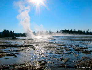 Yellowstone-Voyage-Vixens-Lindsay-Taub-001