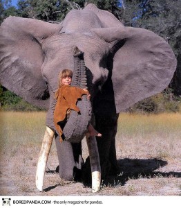 tippi of Africa