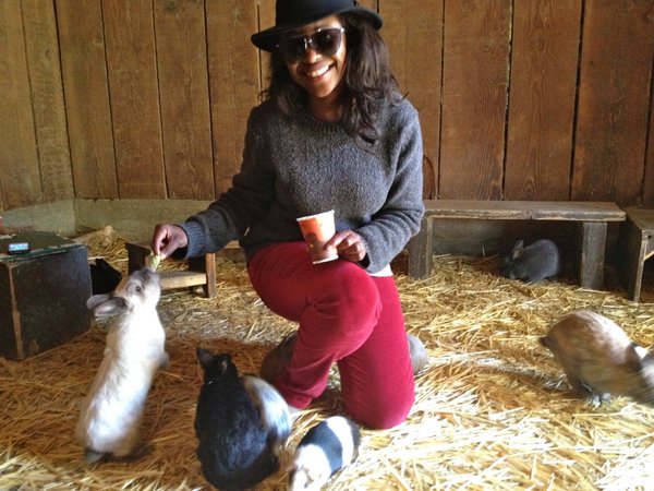 Bunny feeding